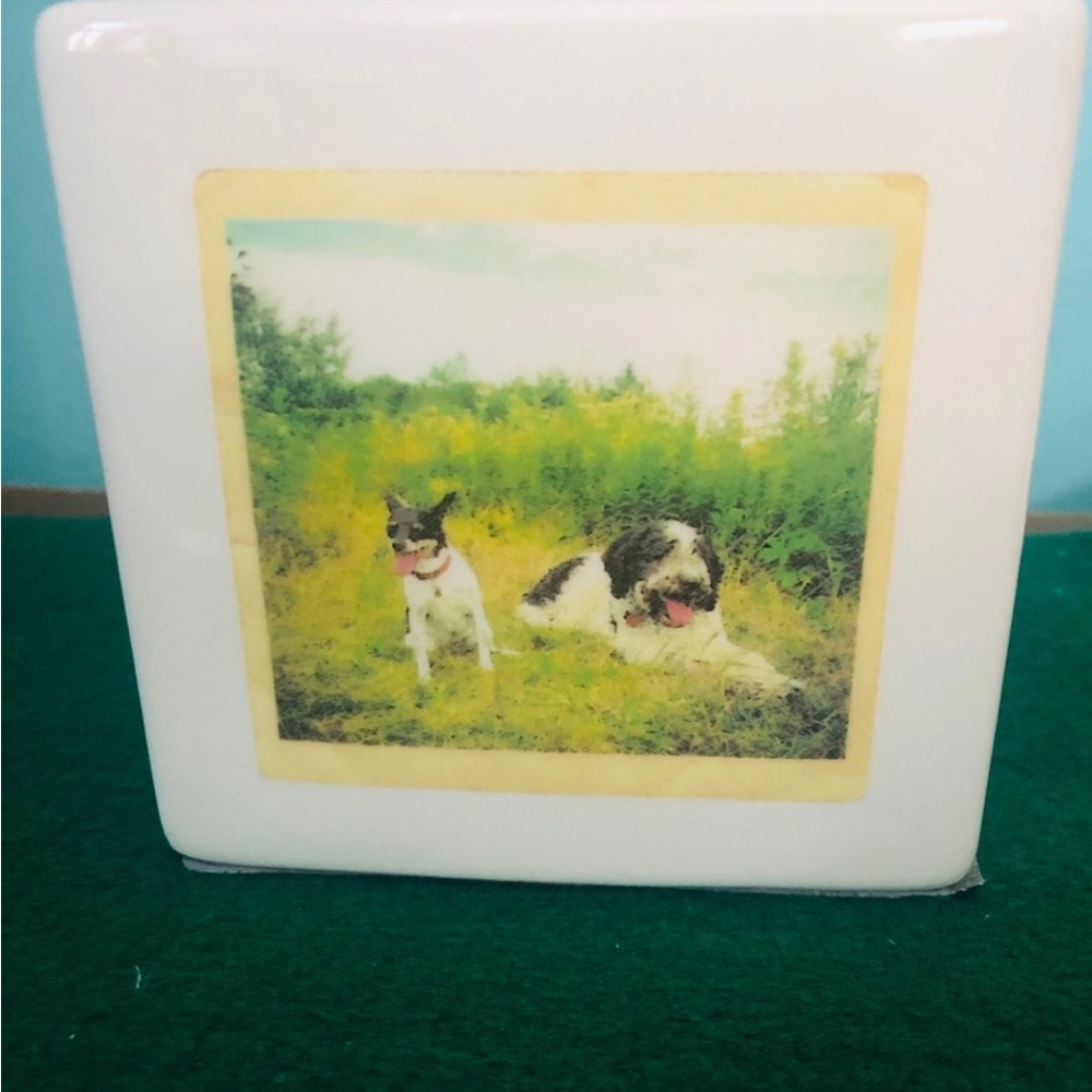 Rae Dunn Polaroid pet squares